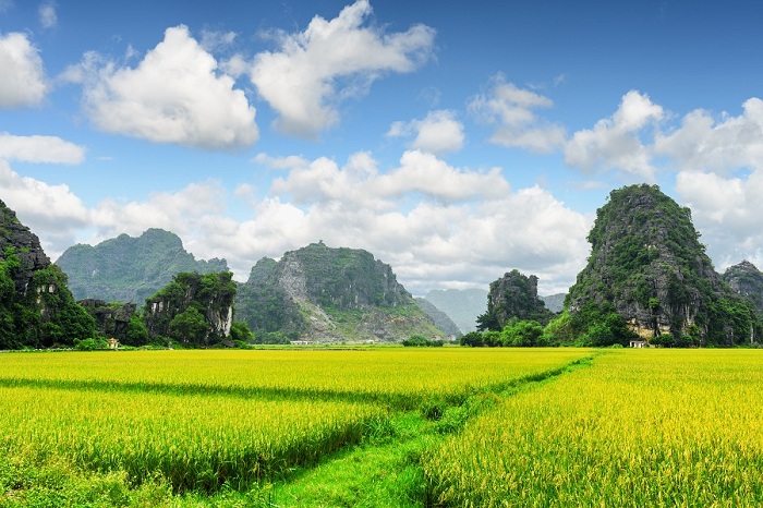 visit tam coc in 2 or 3 days rice fields